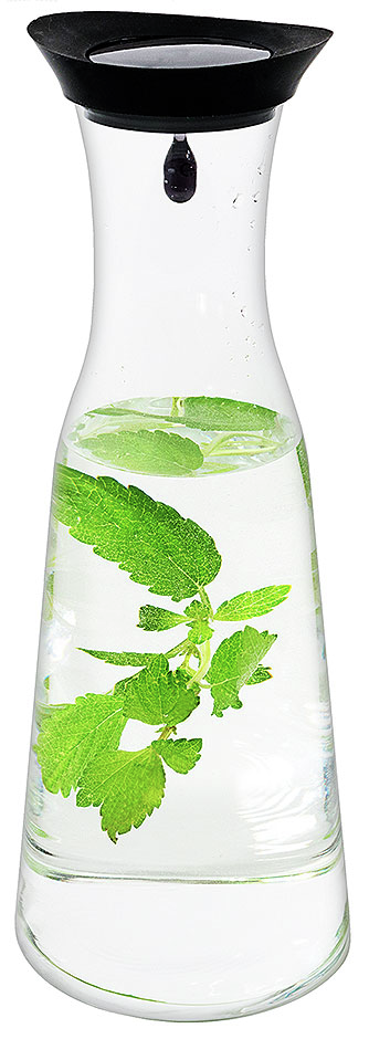 Glaskaraffe mit Silikondeckel